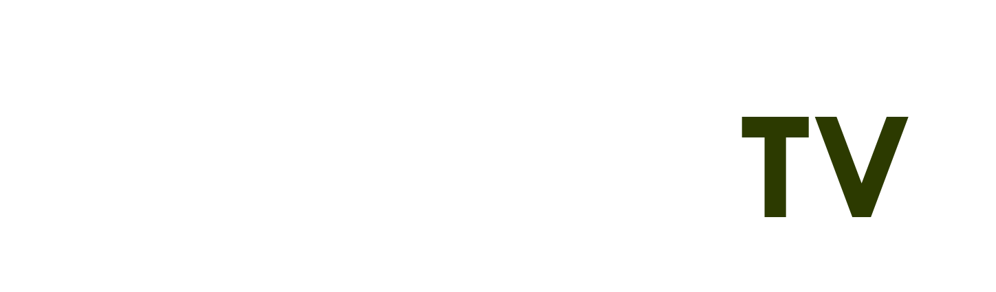 Thẩm Phán - tắc đường